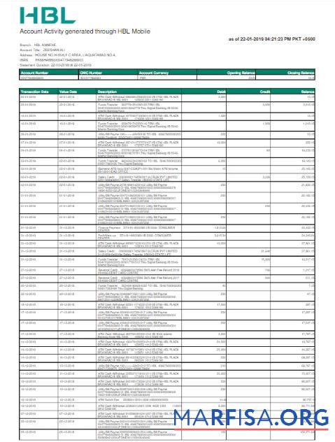 Realistic PAKISTAN HBL utility bill Word and PDF template